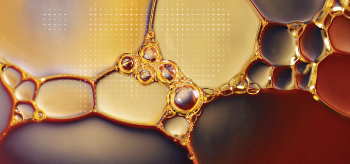 Insulating Liquids - Key Aspects of Today's Liquids - Differences and Similarities